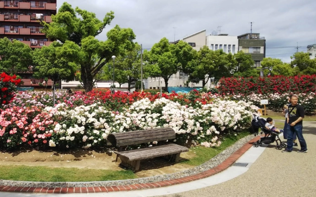 薔薇の街福山の象徴であるばら公園